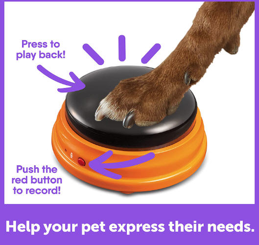 Juego de iniciación de mascotas parlantes, juego de 4 botones grabables para perros Hunger for Words