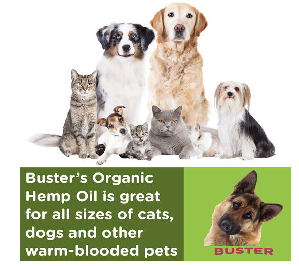 Aceite de cáñamo orgánico Busters 2 unidades 530000, suministro de 2 meses, para perros y gatos